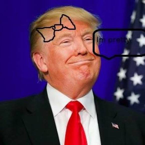 Meet your Posher, Jimmy - Picture 1 of 1